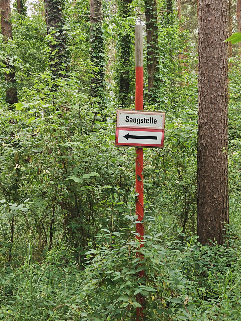 Dritter Baum links