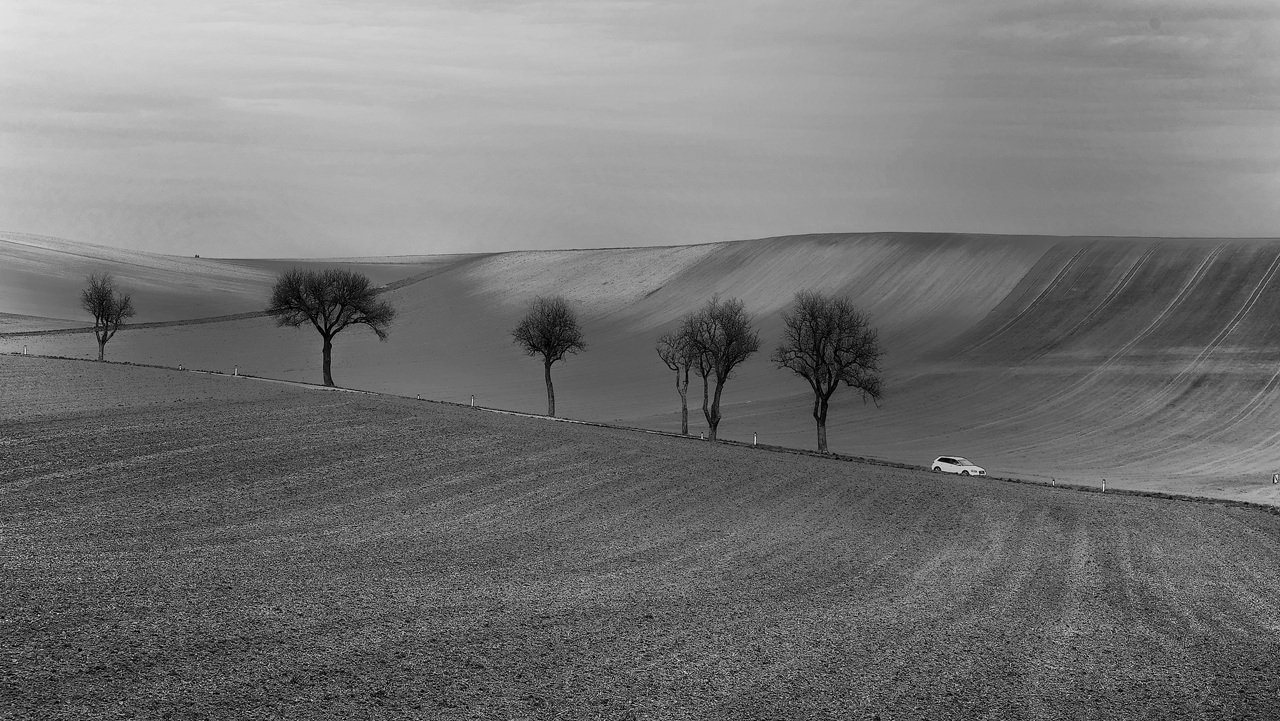 drive through the countryside