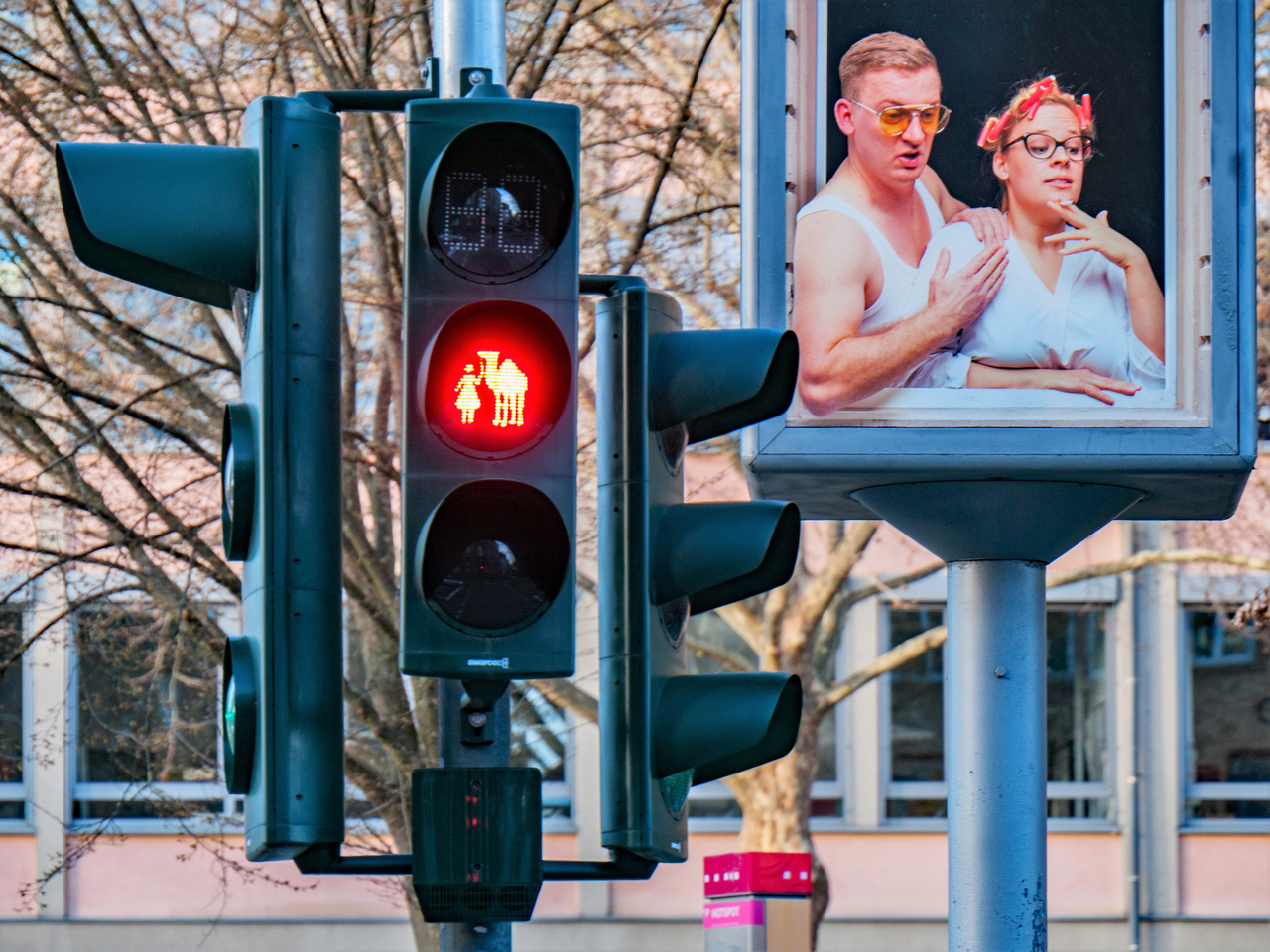 Dromedare an der Leine führen!