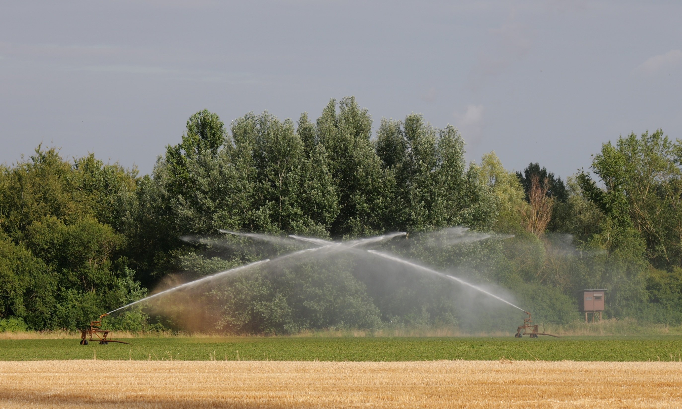 Duell der Wassersprenger.
