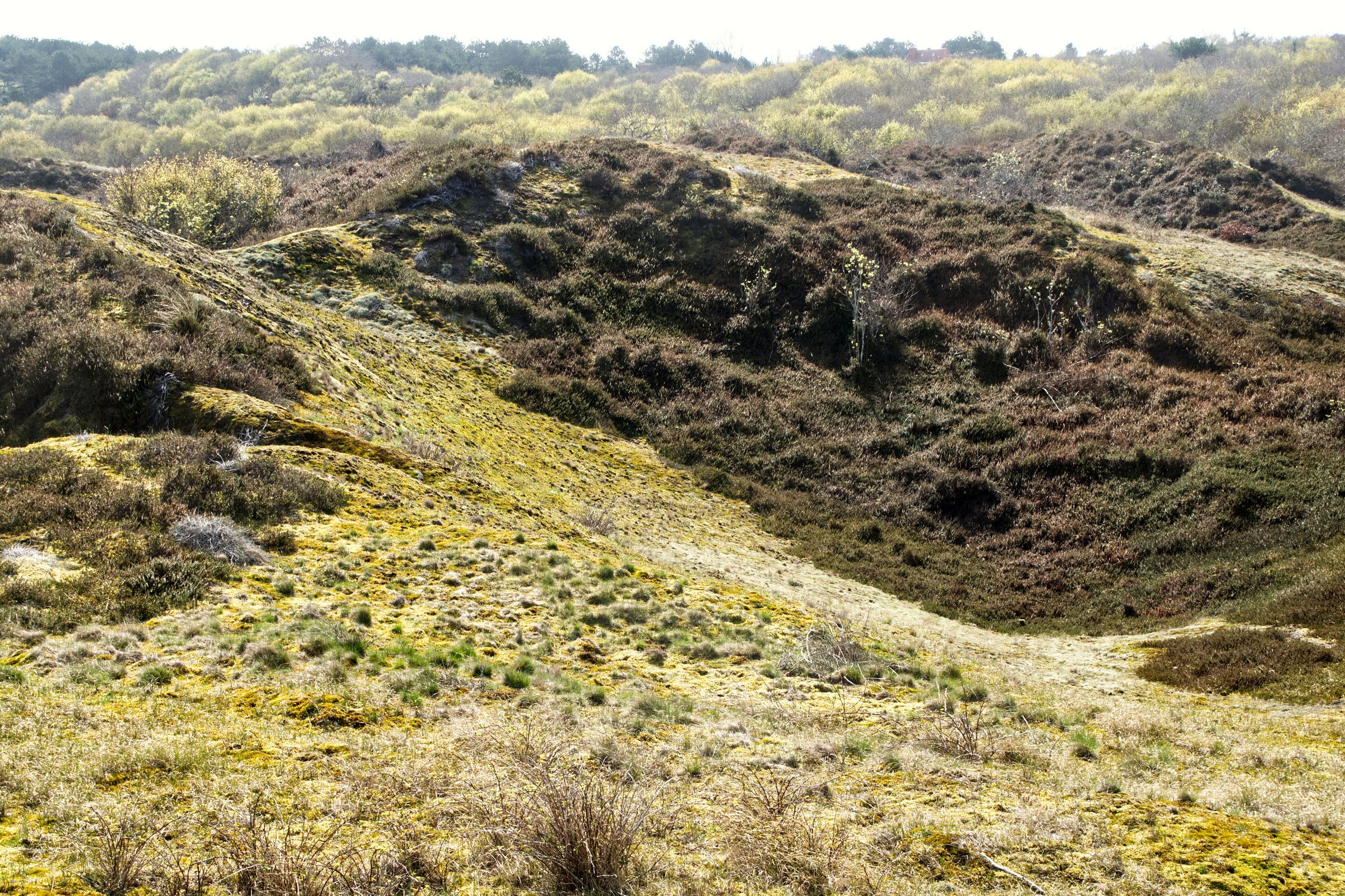 Dünental auf Spiekeroog