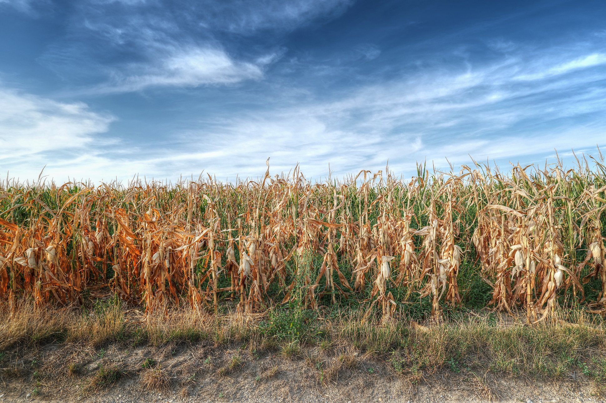 Dürre ...