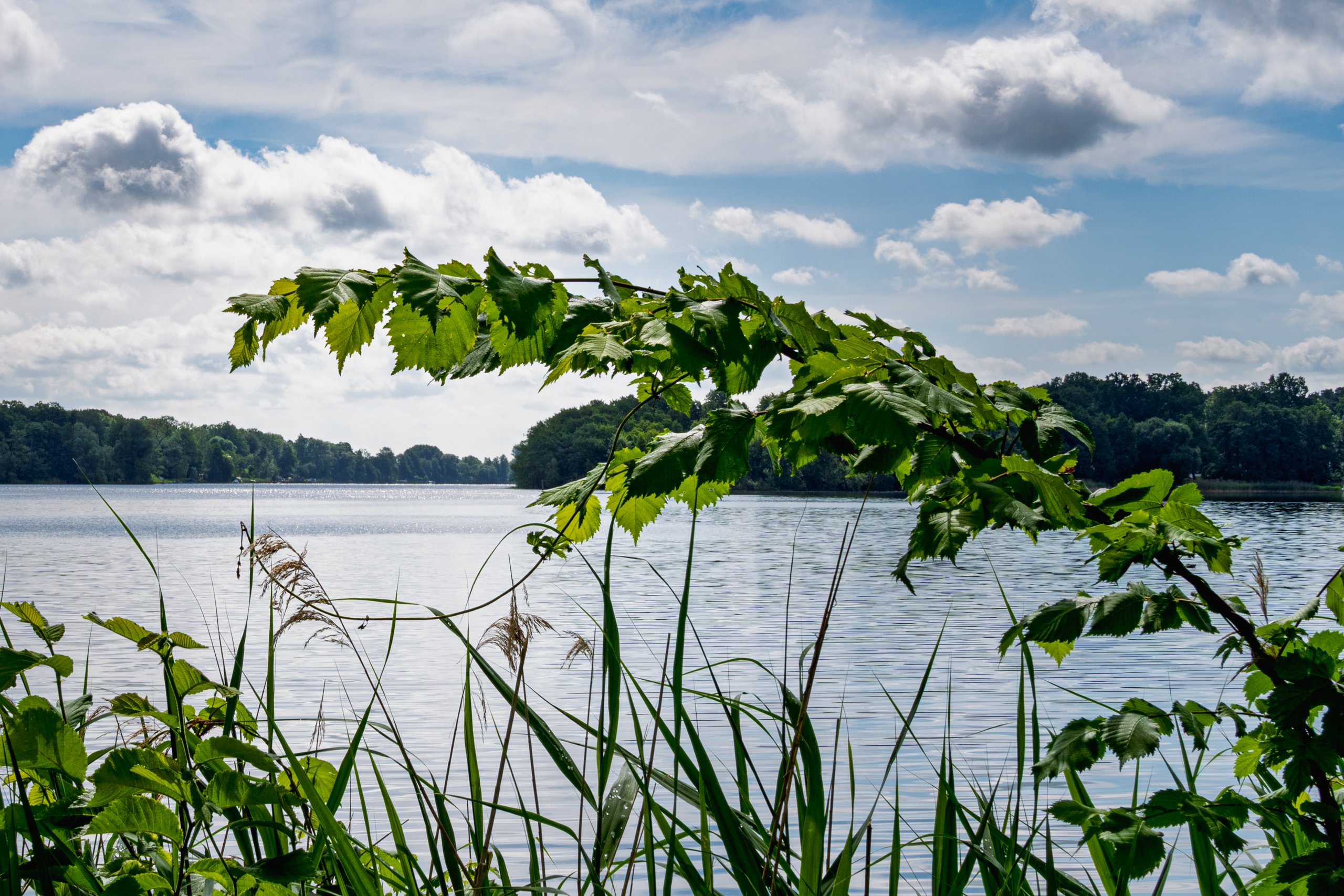 Durchblick