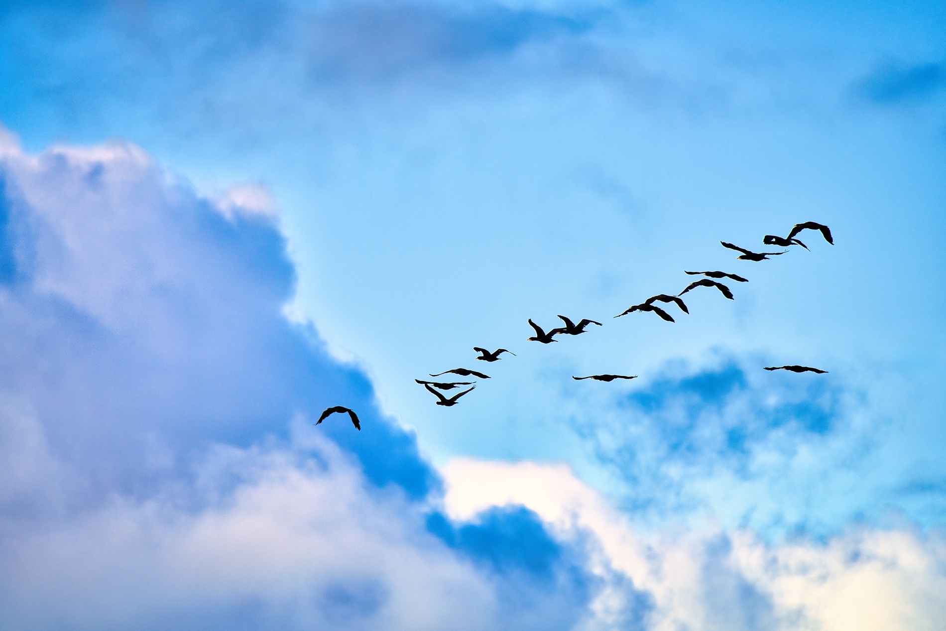 Durchflug