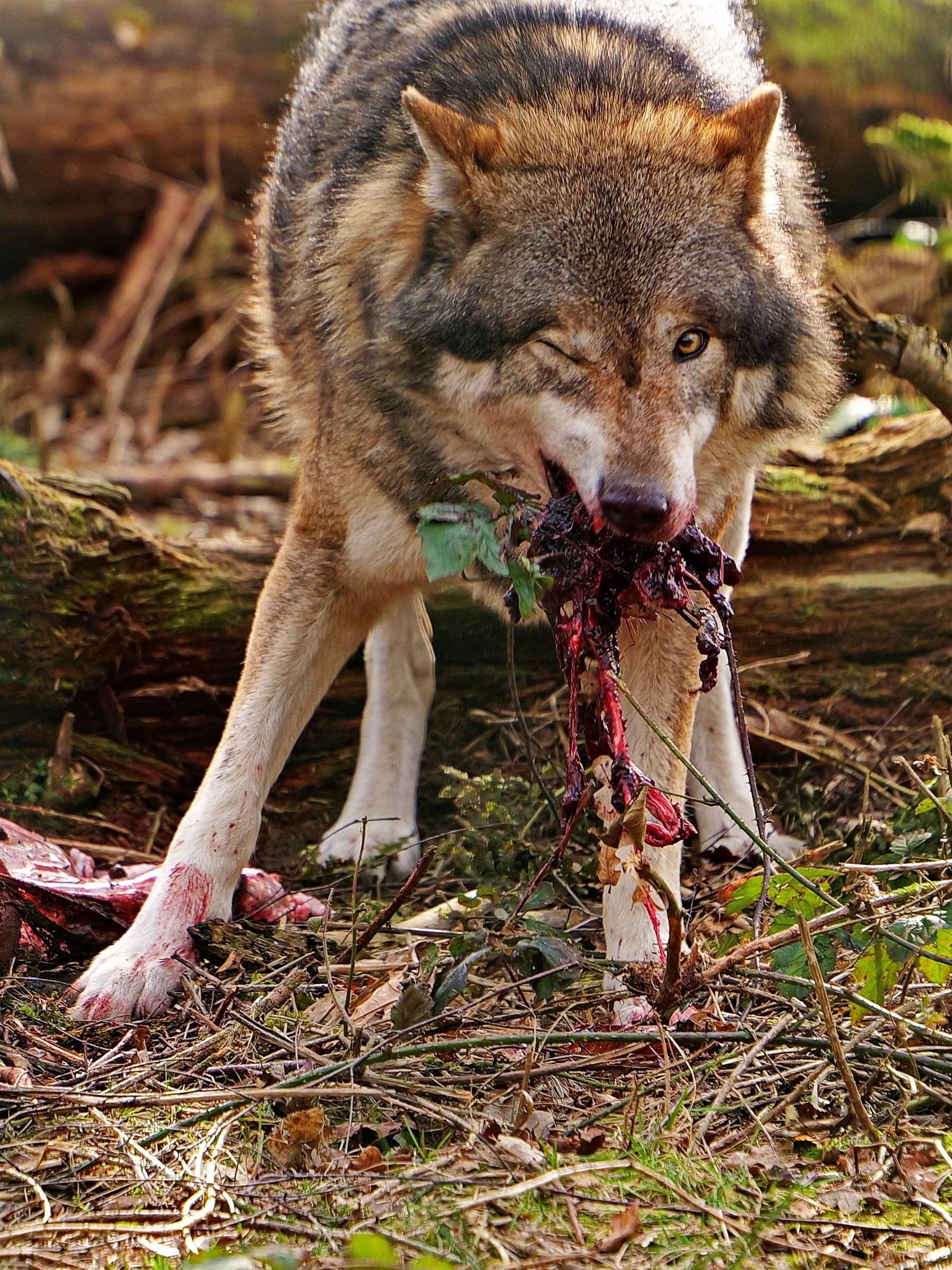 Echt lecker!