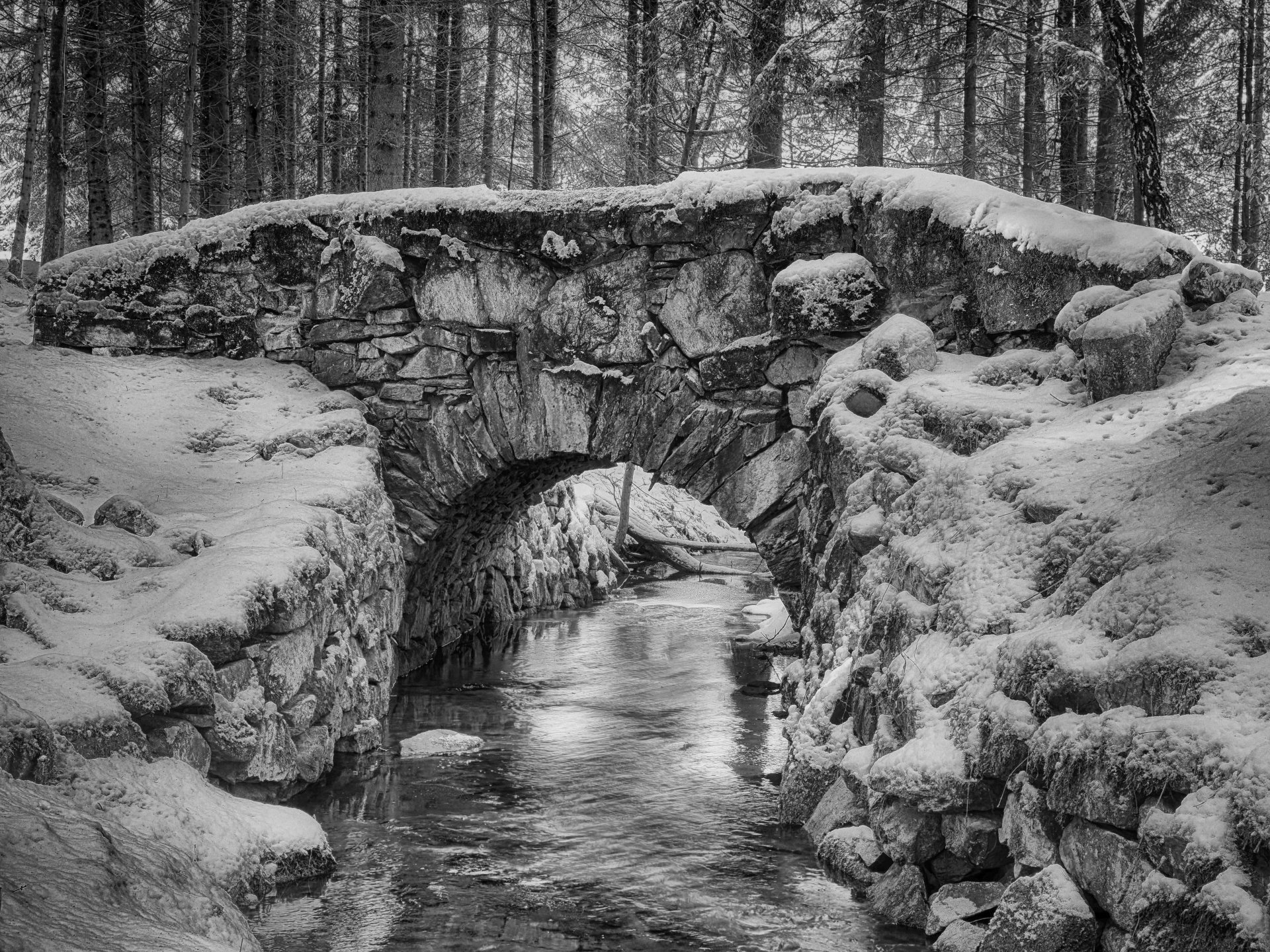 Eidechsenbrücke [2]