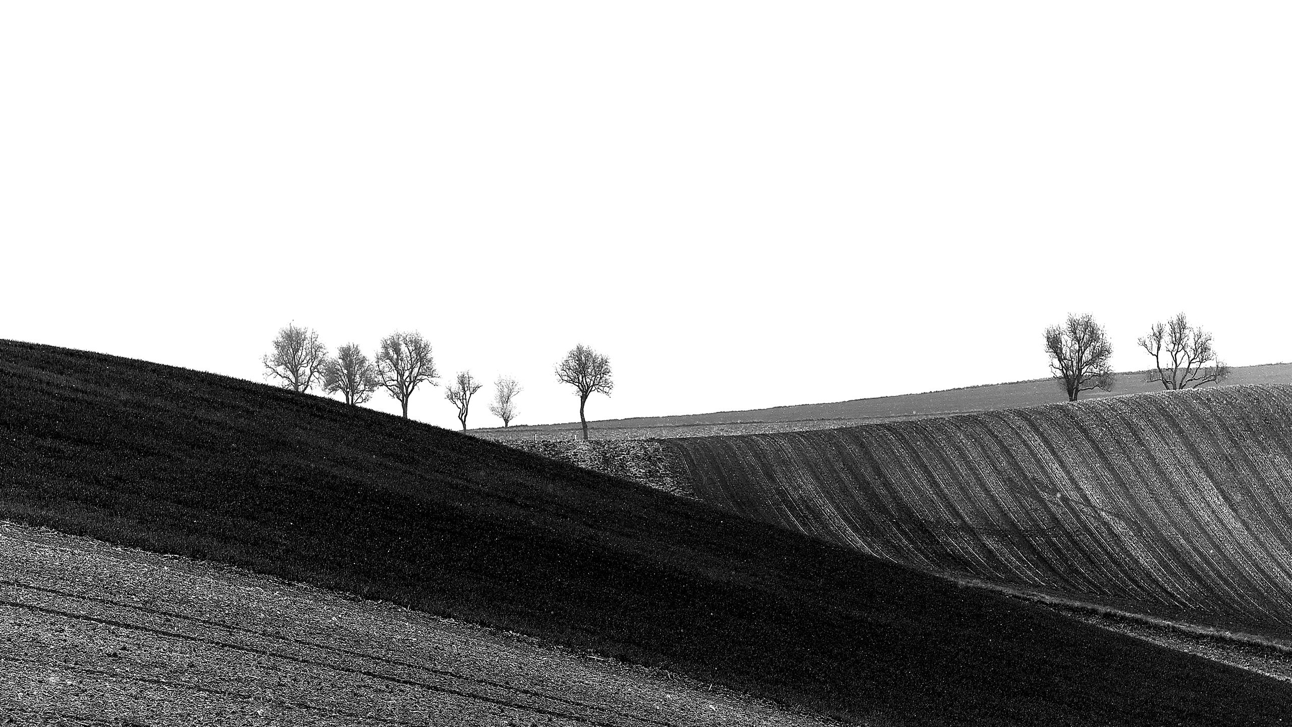 „ein auf und ab“