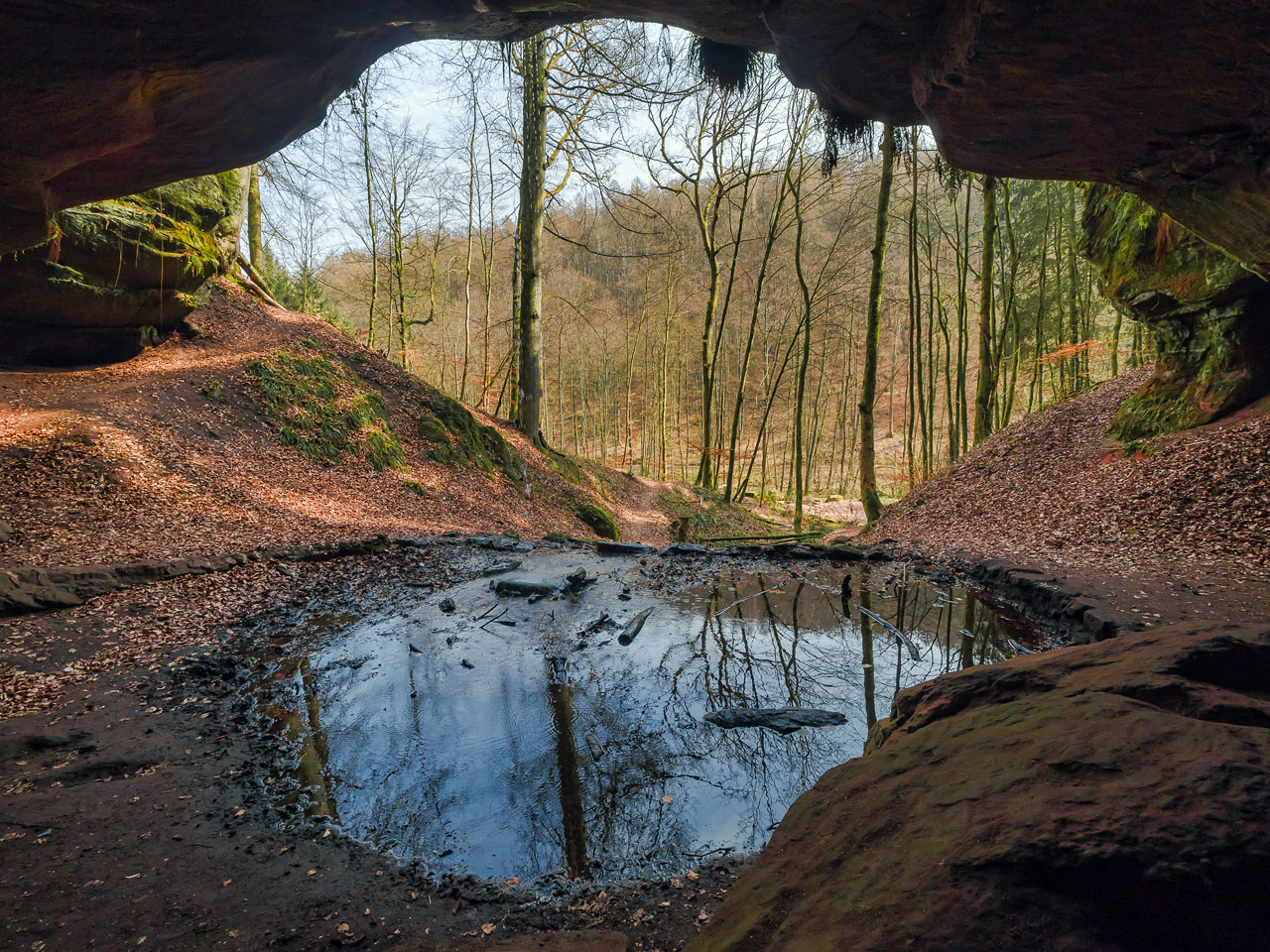 Ein ganz besonderes Fenster