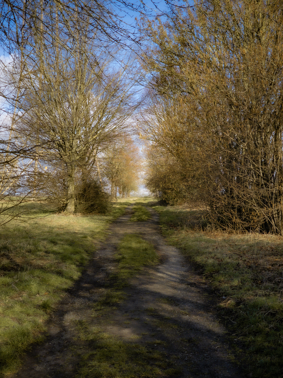 Ein Hauch von Frühling