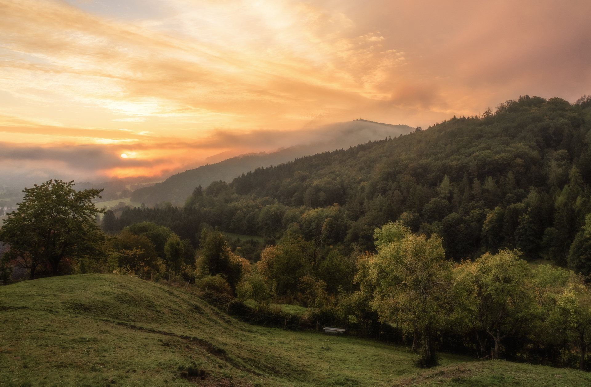 ein Herbstmorgen