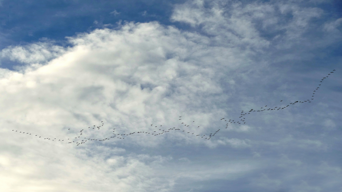 Ein Himmel voller Glück