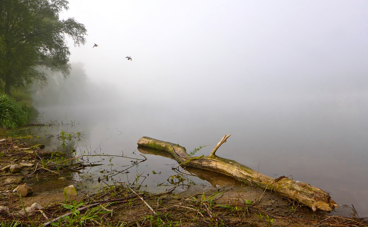 ein Morgen am See