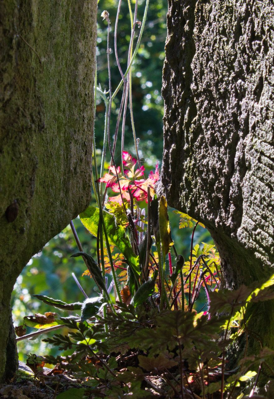 Ein Platz an der Sonne