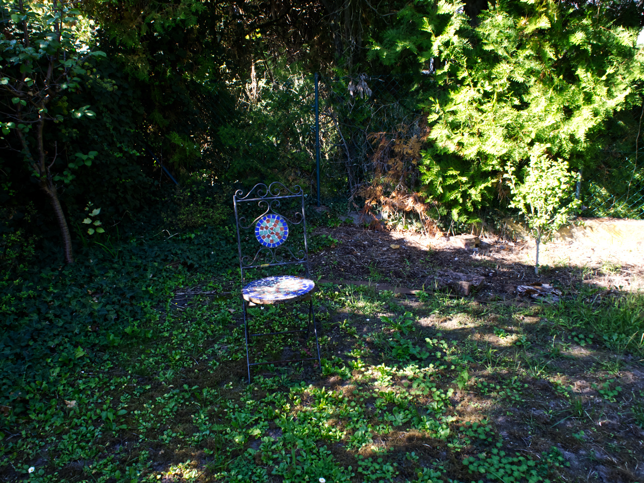 Ein Platz an der Sonne?