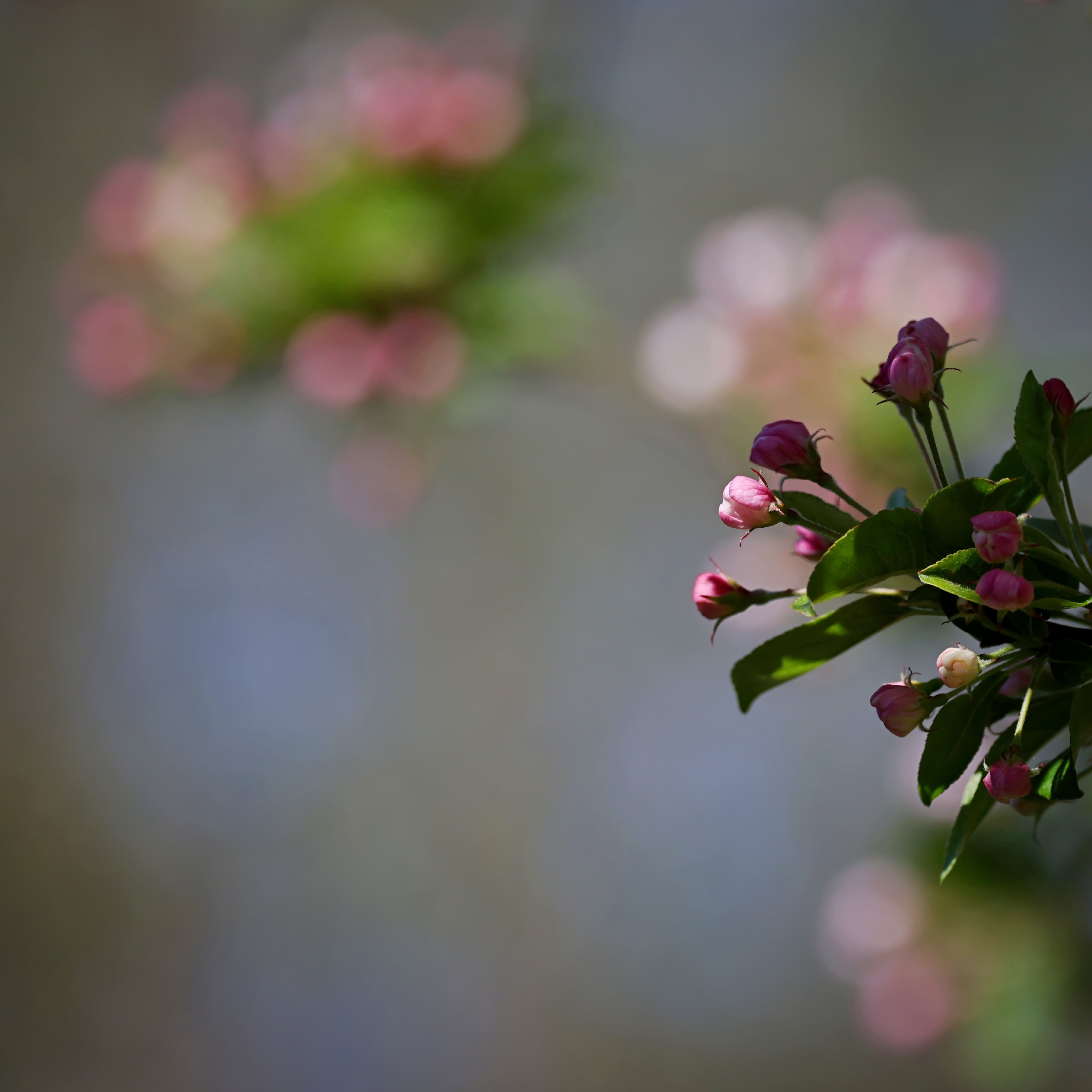 Ein Platz an der Sonne