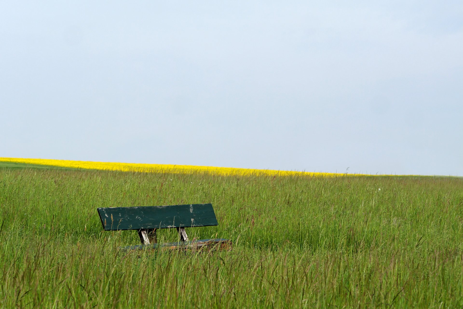 Ein Platz im Grünen