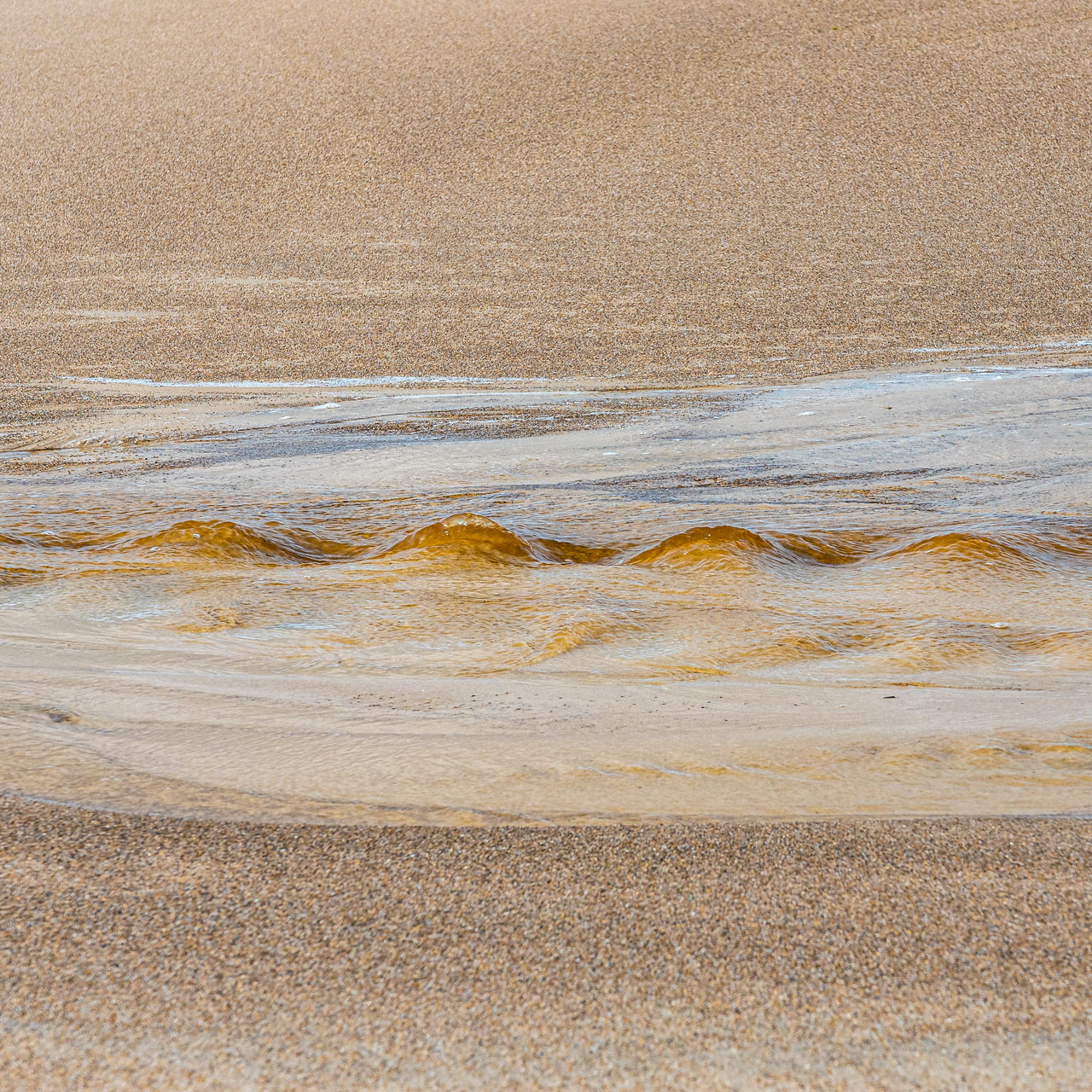 Ein-Rinnsal-auf-dem-Weg-zur-Nordsee