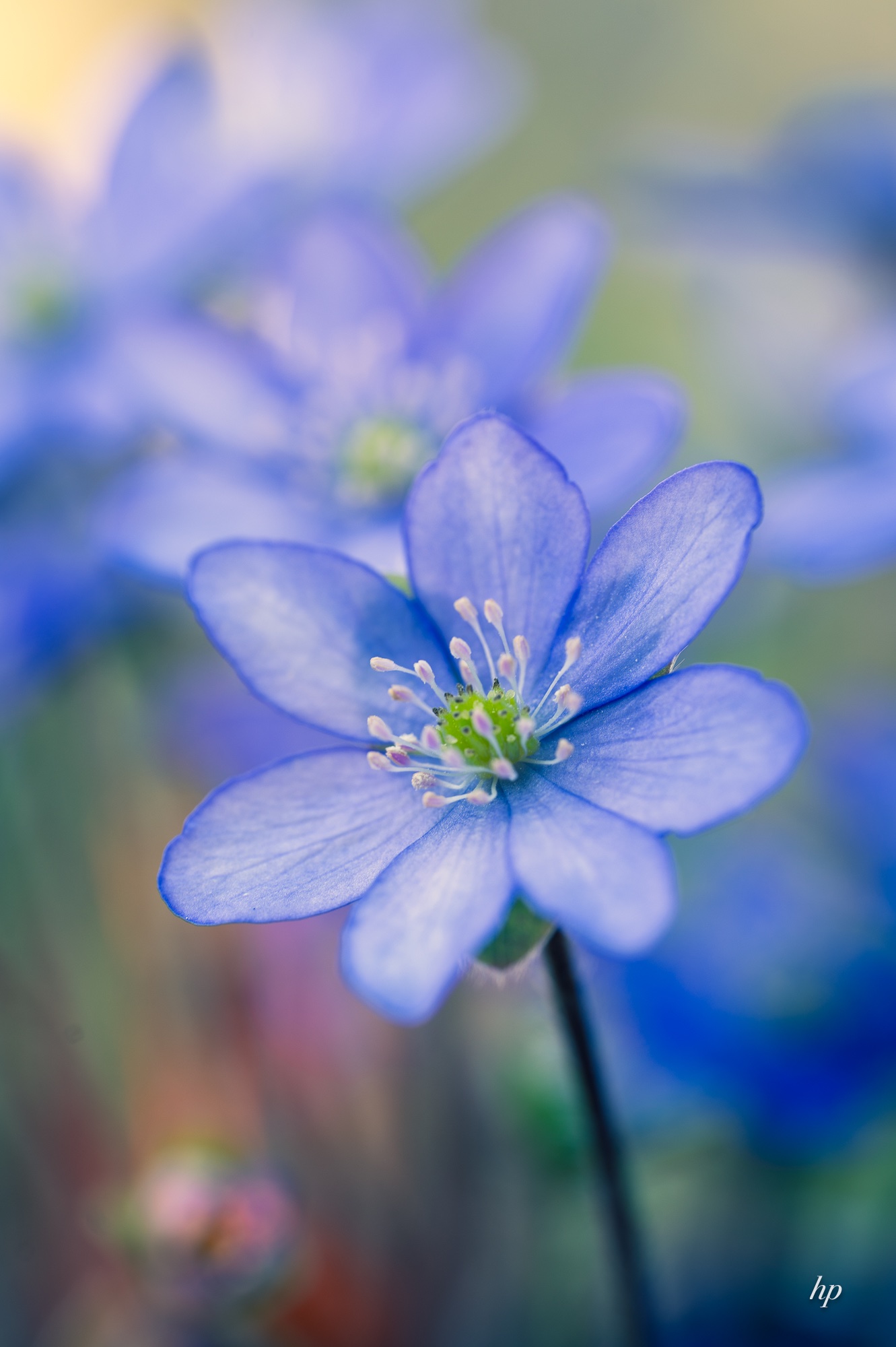 Ein (vorerst) letztes