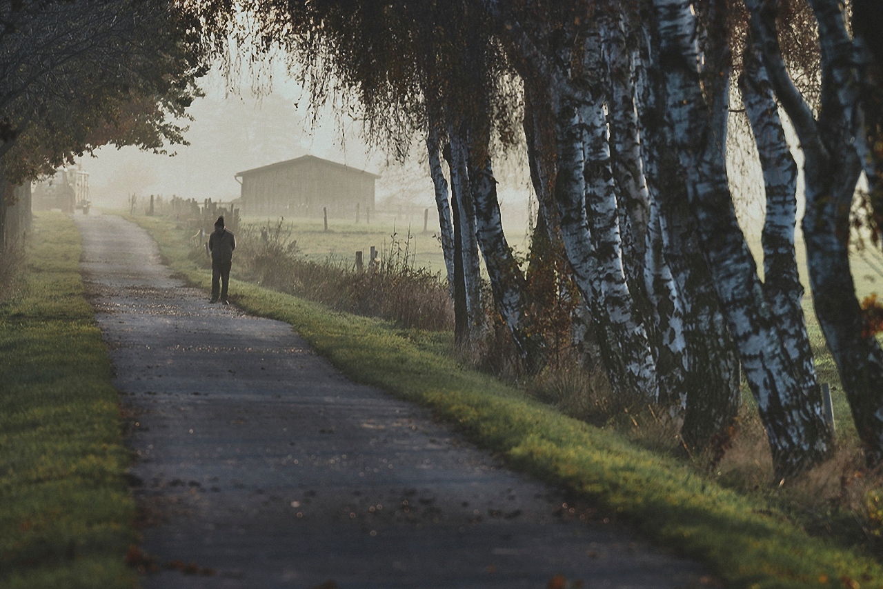 Ein Wirtschaftsweg