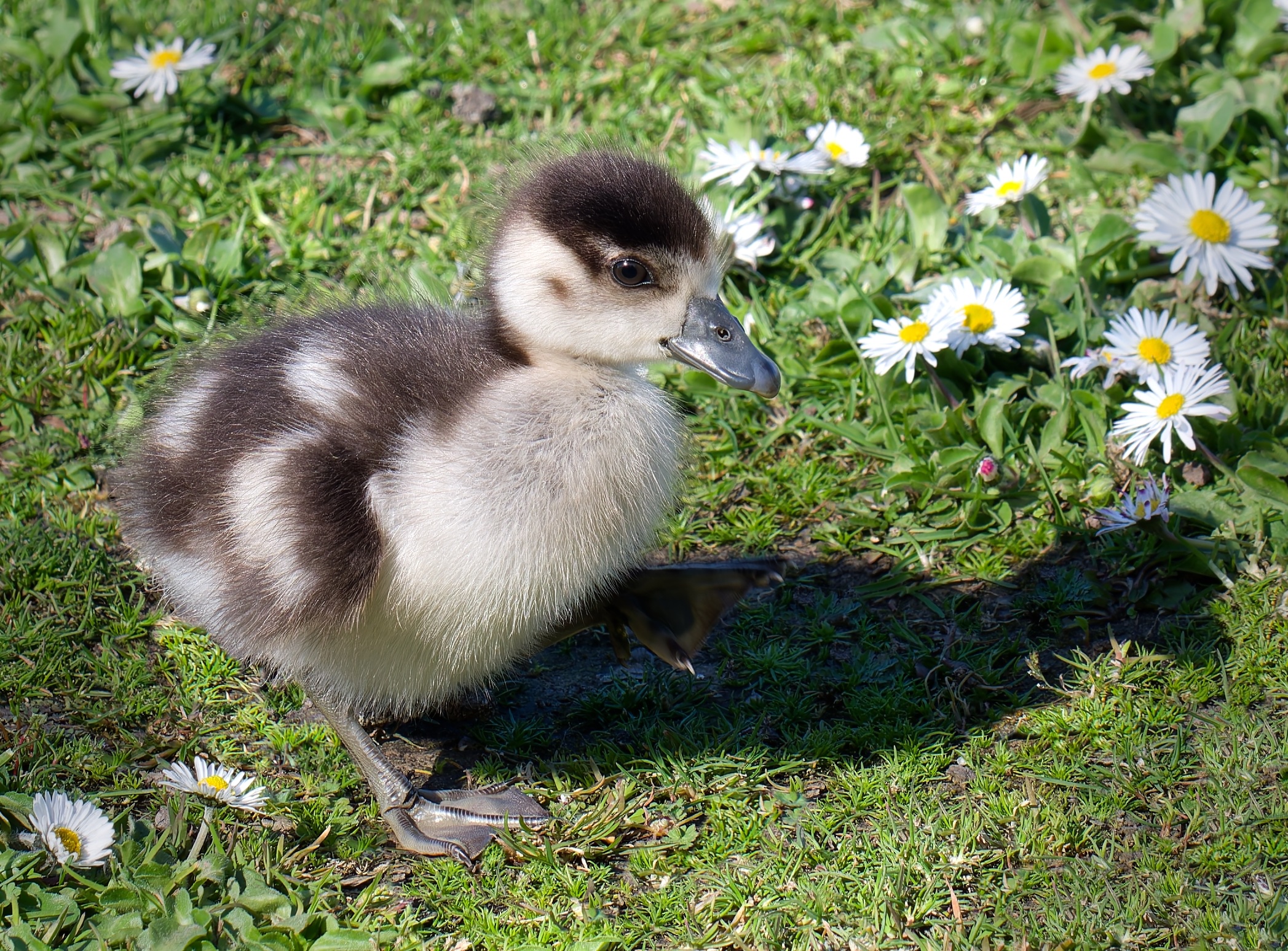Eine Frage der Sicht