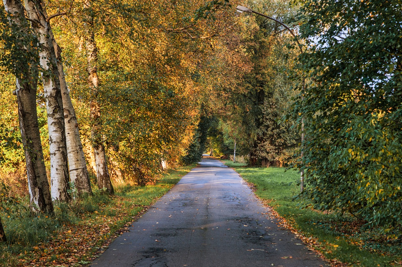 Eine unserer gepflegten Landstraßen