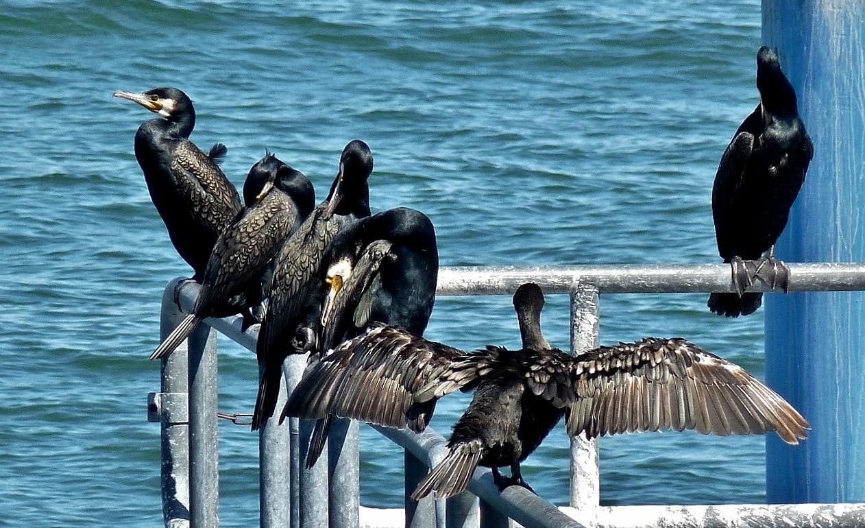 Einfach mal abhängen