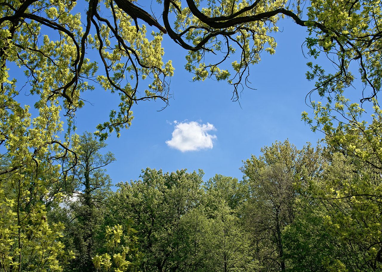 Eingefangen