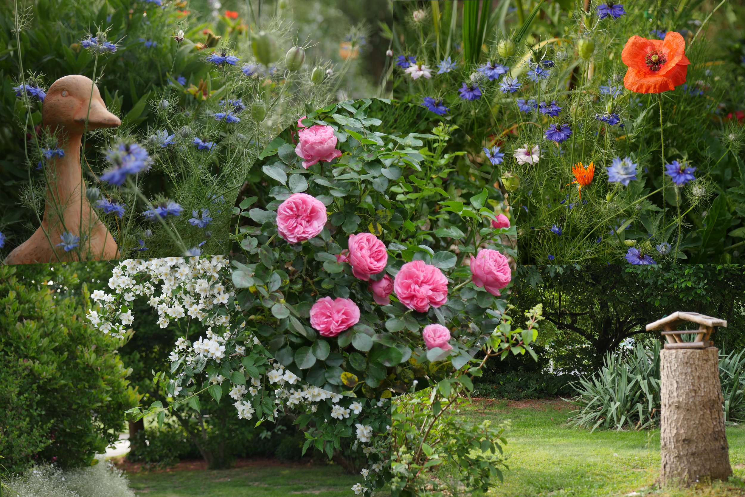 Einmal durch den Sommergarten