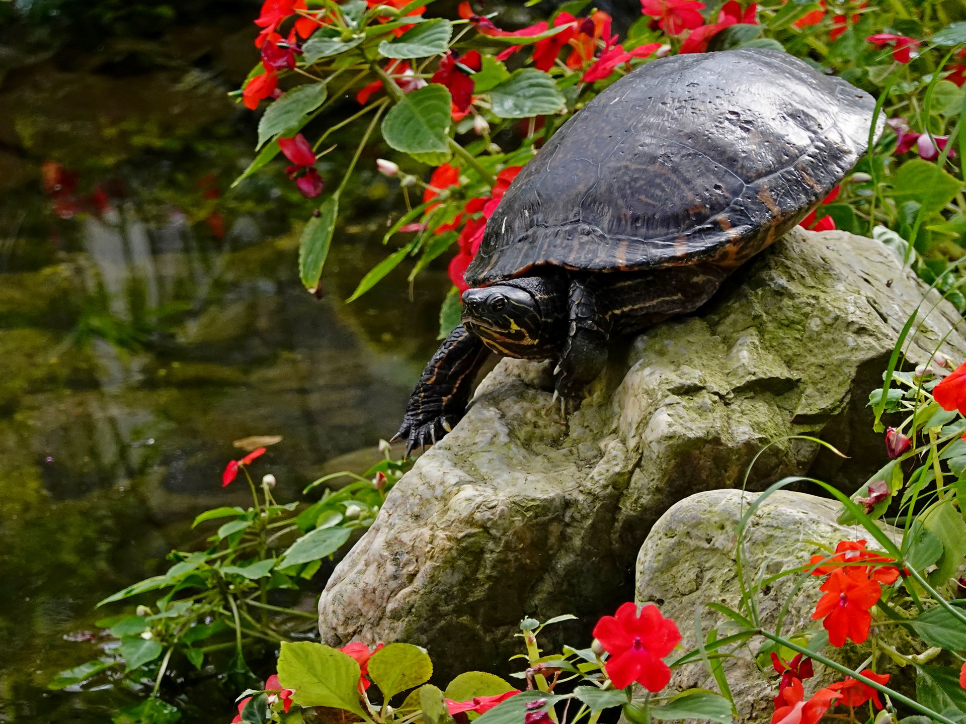 Einmal rutschen bitte