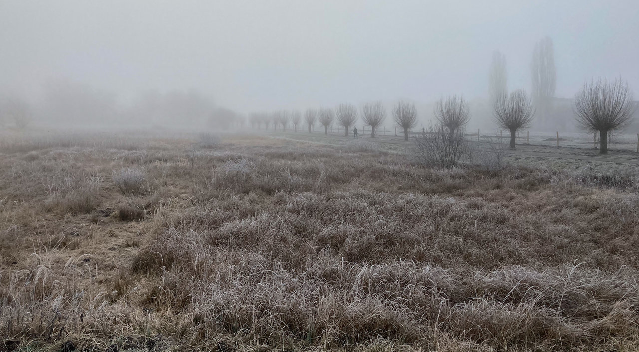 Einsam im Nebel