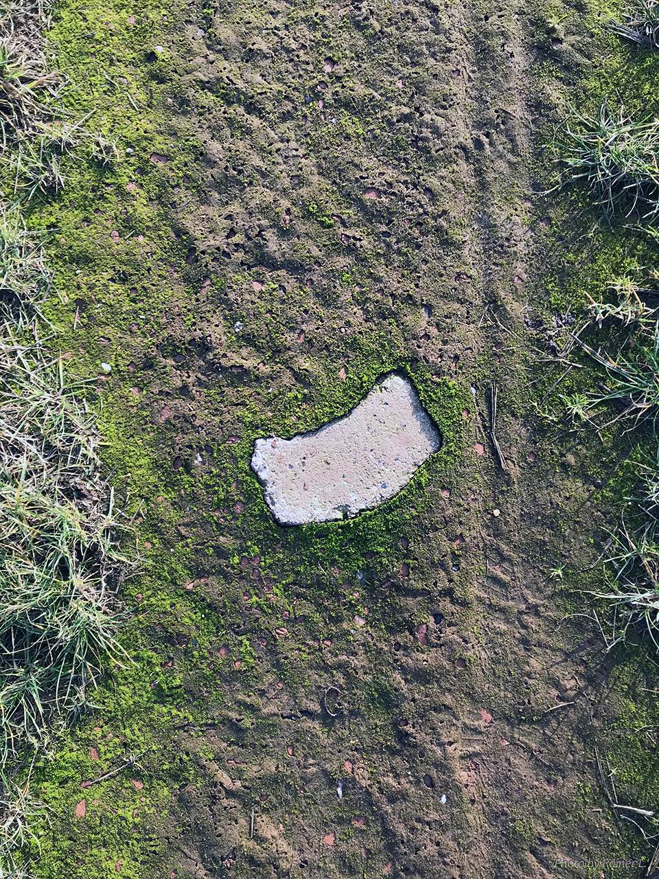 Einsamer Stein   -  lonesome  stone - Feldweg