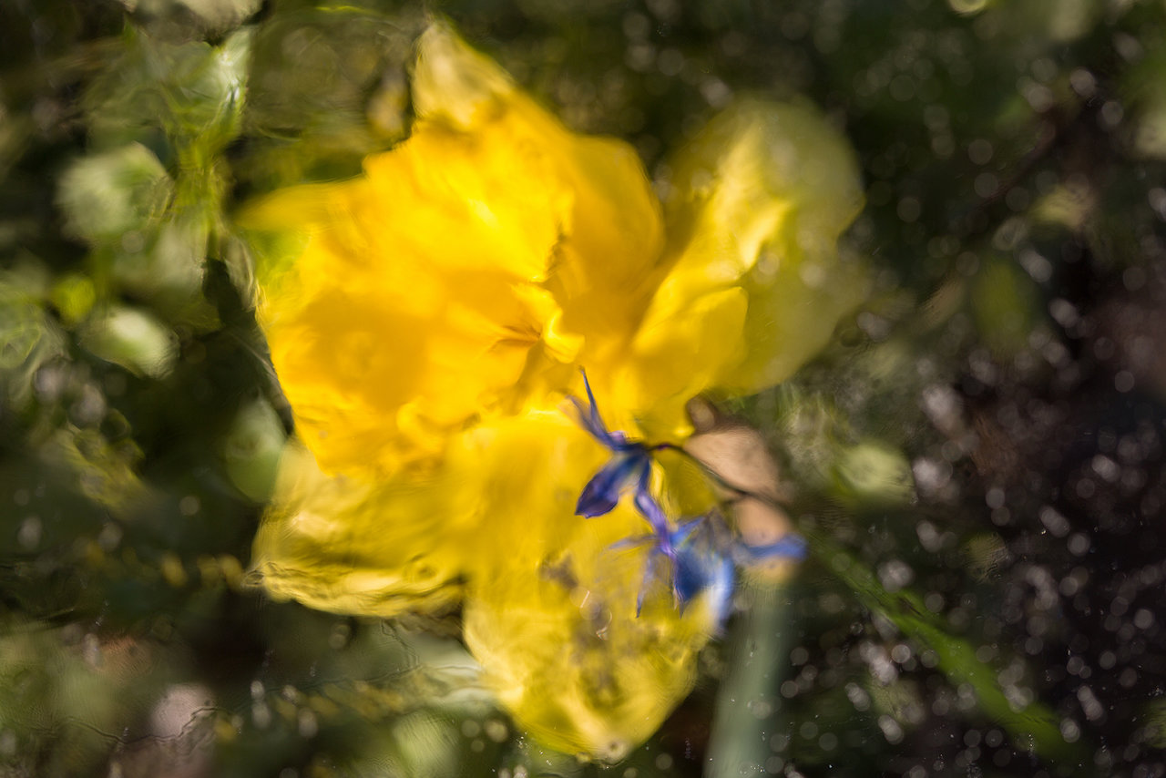 Eisiger Frühling