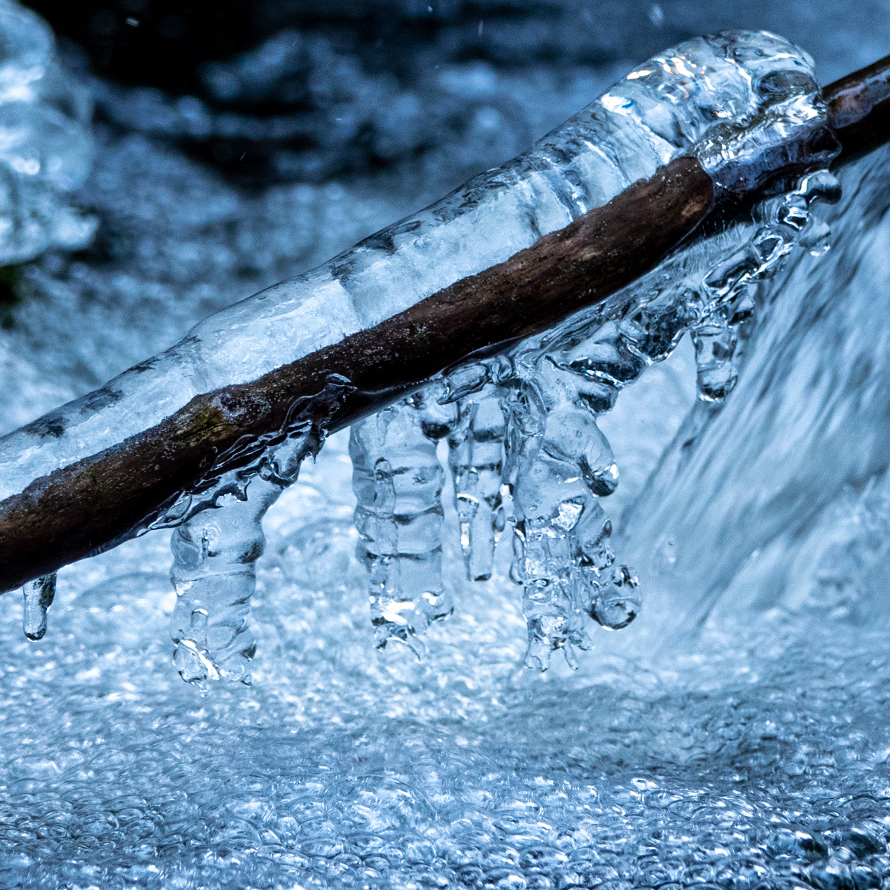 Eiszapfen in einem Bachlauf (1)