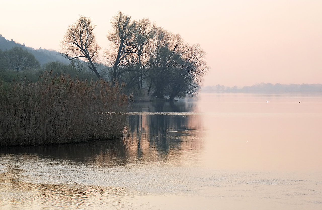 Elbe im Morgenlicht