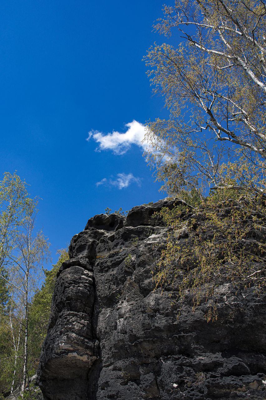 Elbsandsteingebirge - 23.04.2022 - 013.jpg