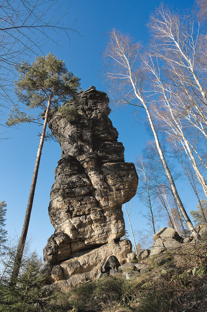 Elbsandsteingebirge - Bielatal II