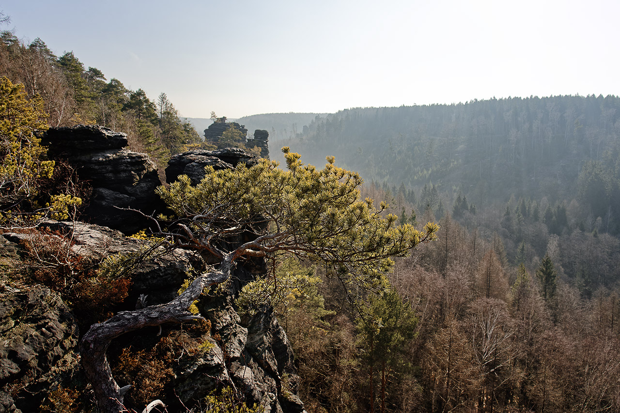 Elbsandsteingebirge - Bielatal