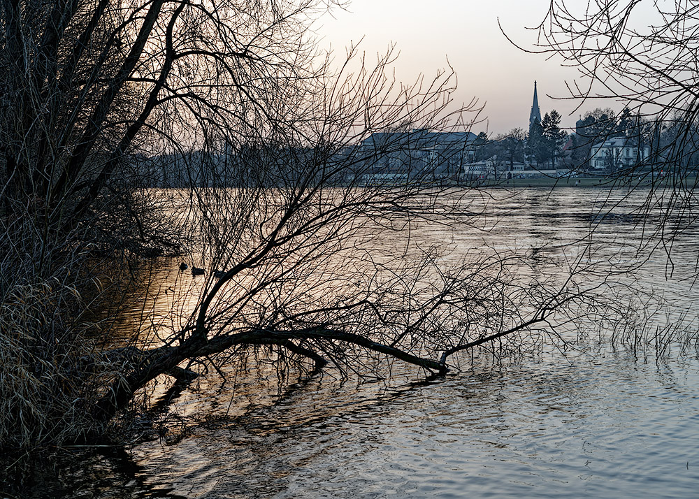 Elbufer in Dresden