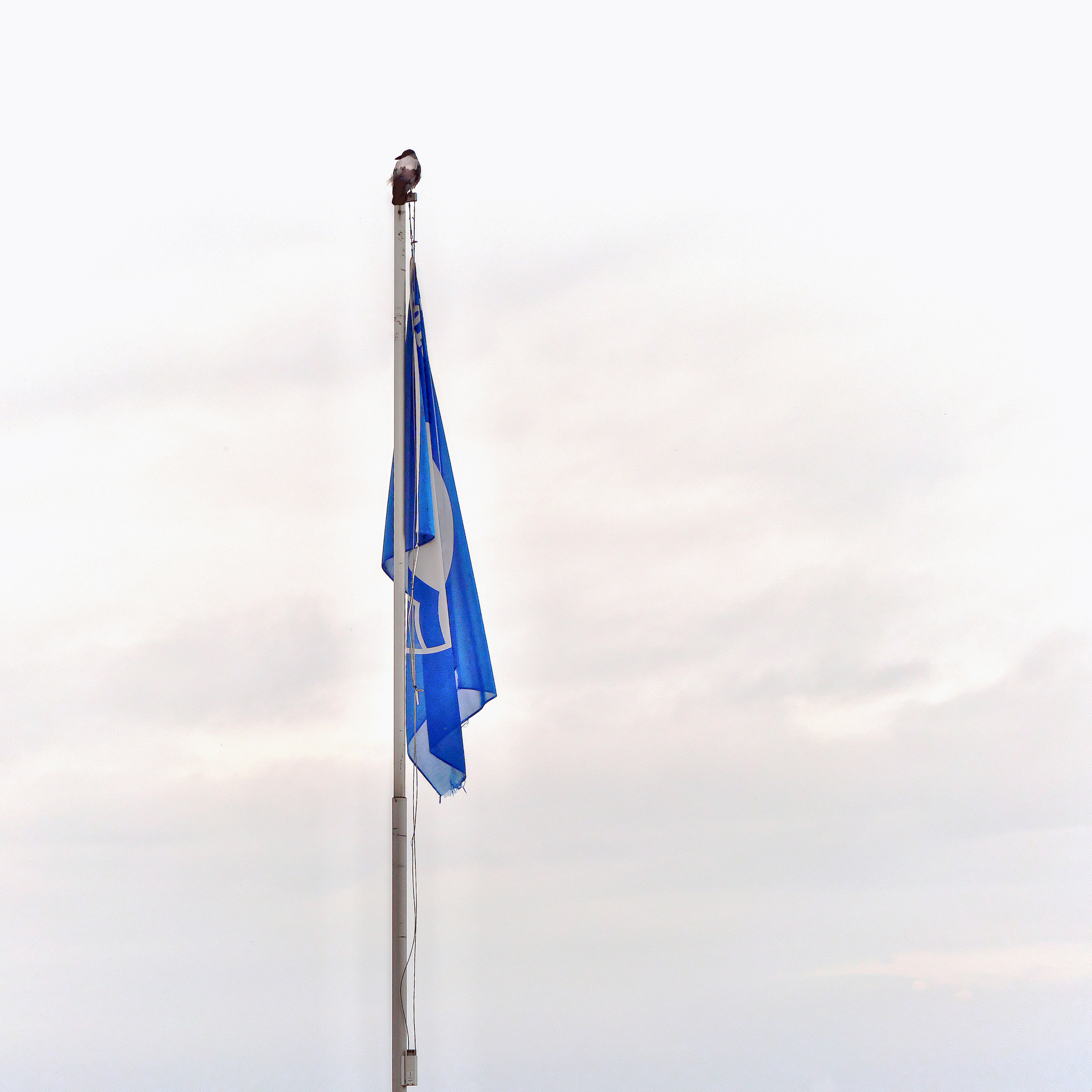 Ende der Fahnenstange
