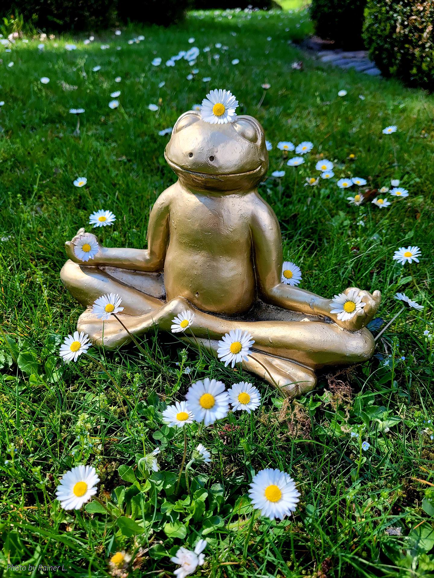...endlich Frühling