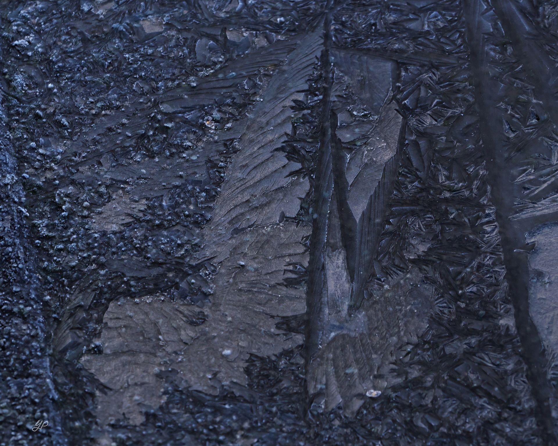 Engelsflügel - - - [Nr.5 KW 25/52]