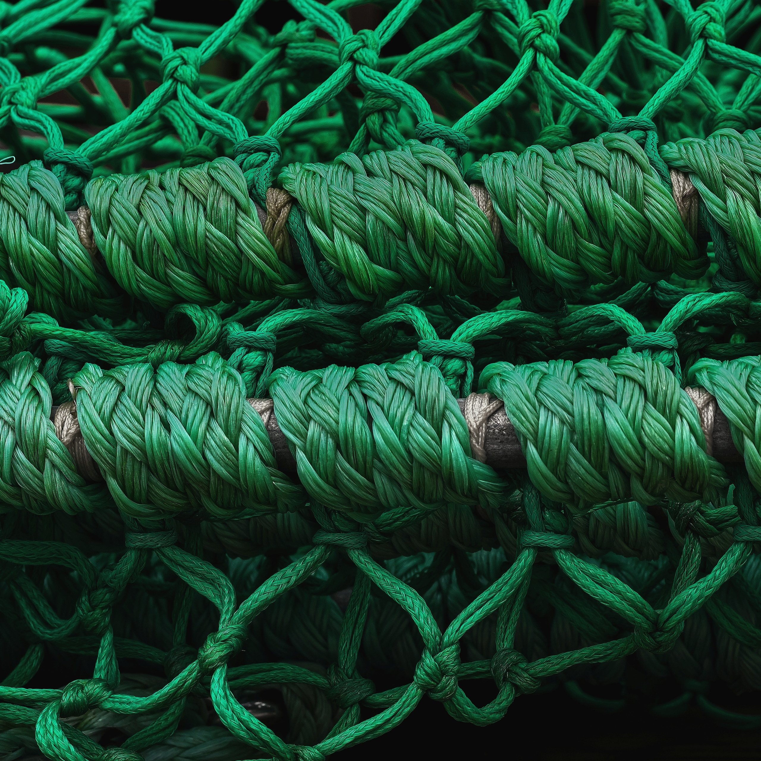 Entwicklungspotenzial