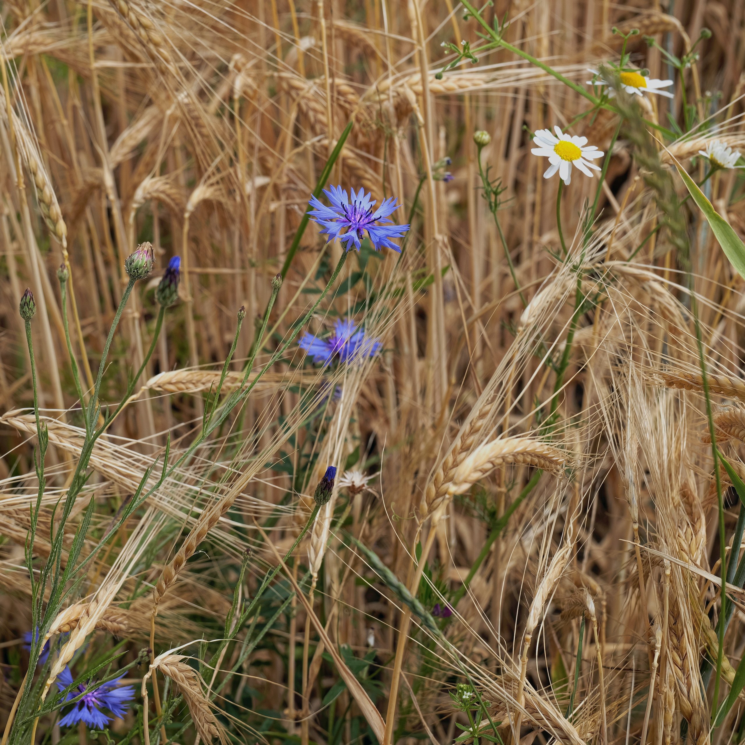 Erinnerung