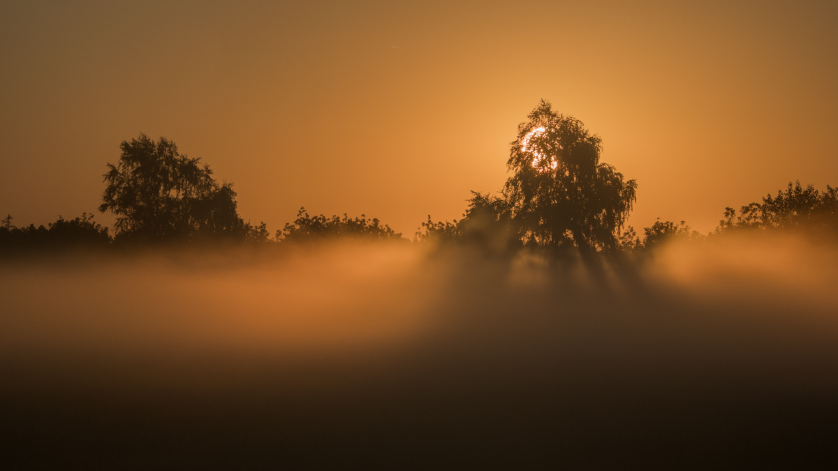 Erste Morgennebel