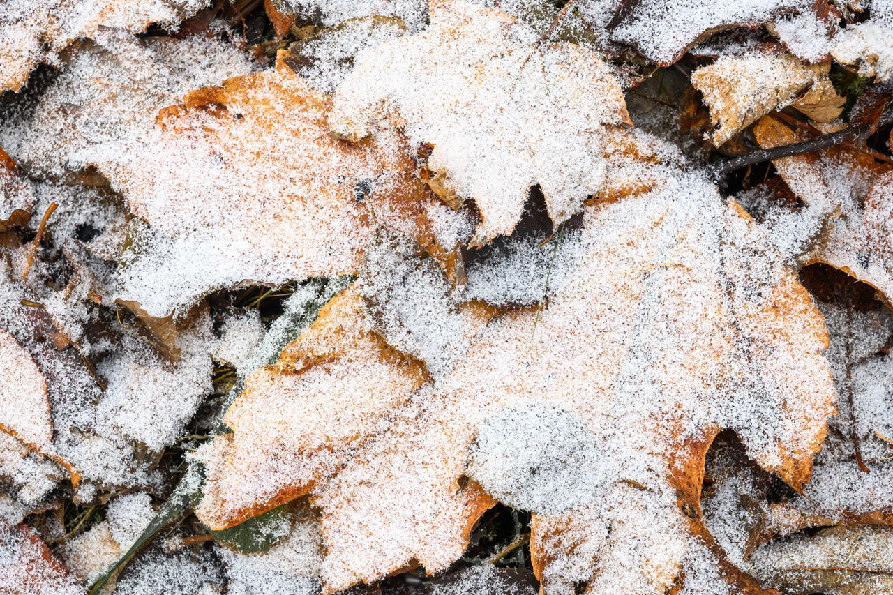 erstes bisschen Schnee