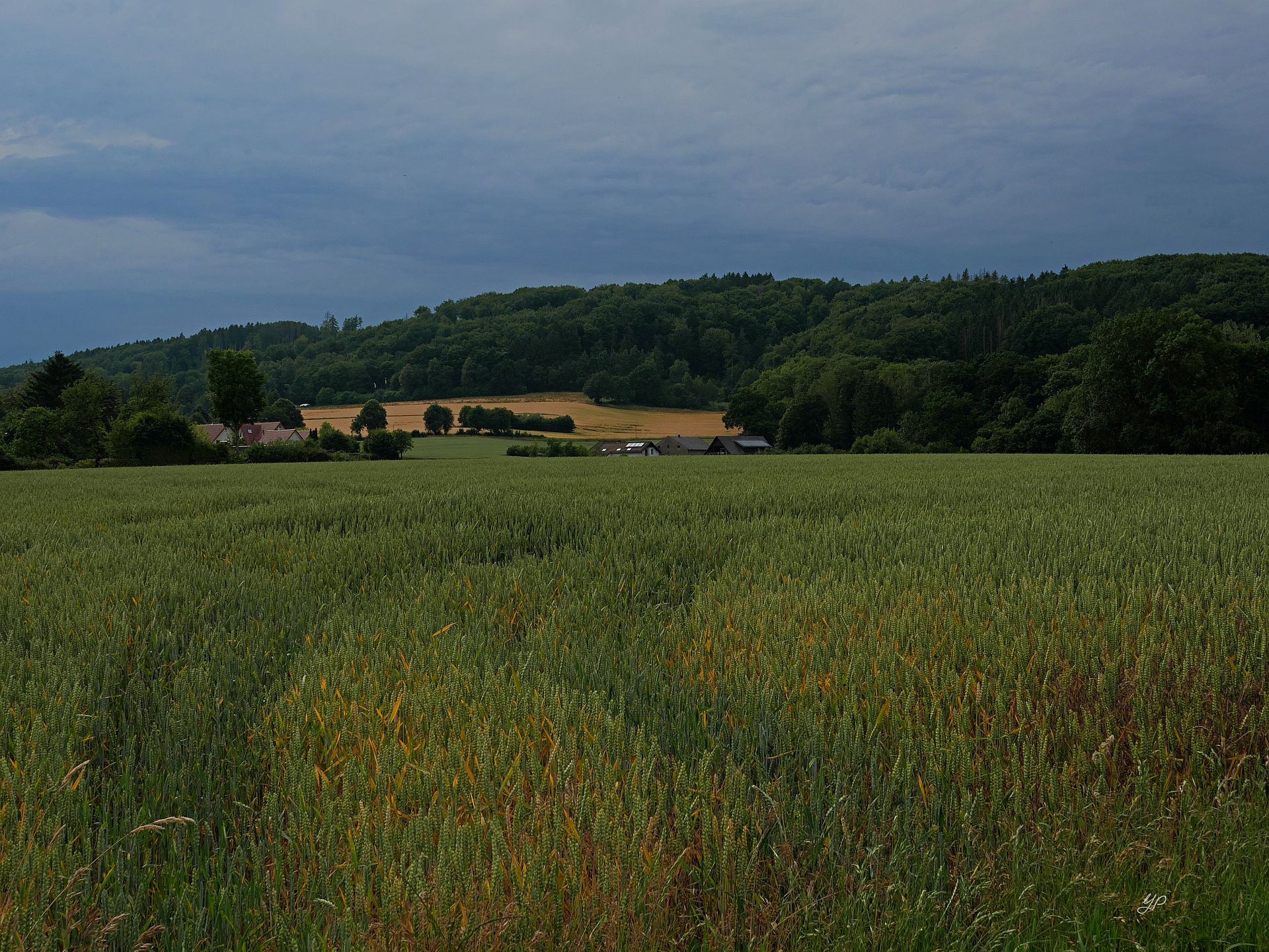 Es grummelt schon