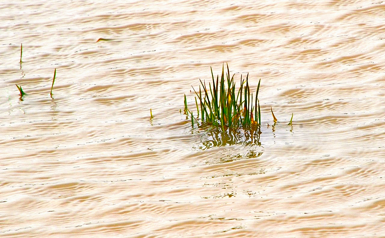 etwas Hochwasser