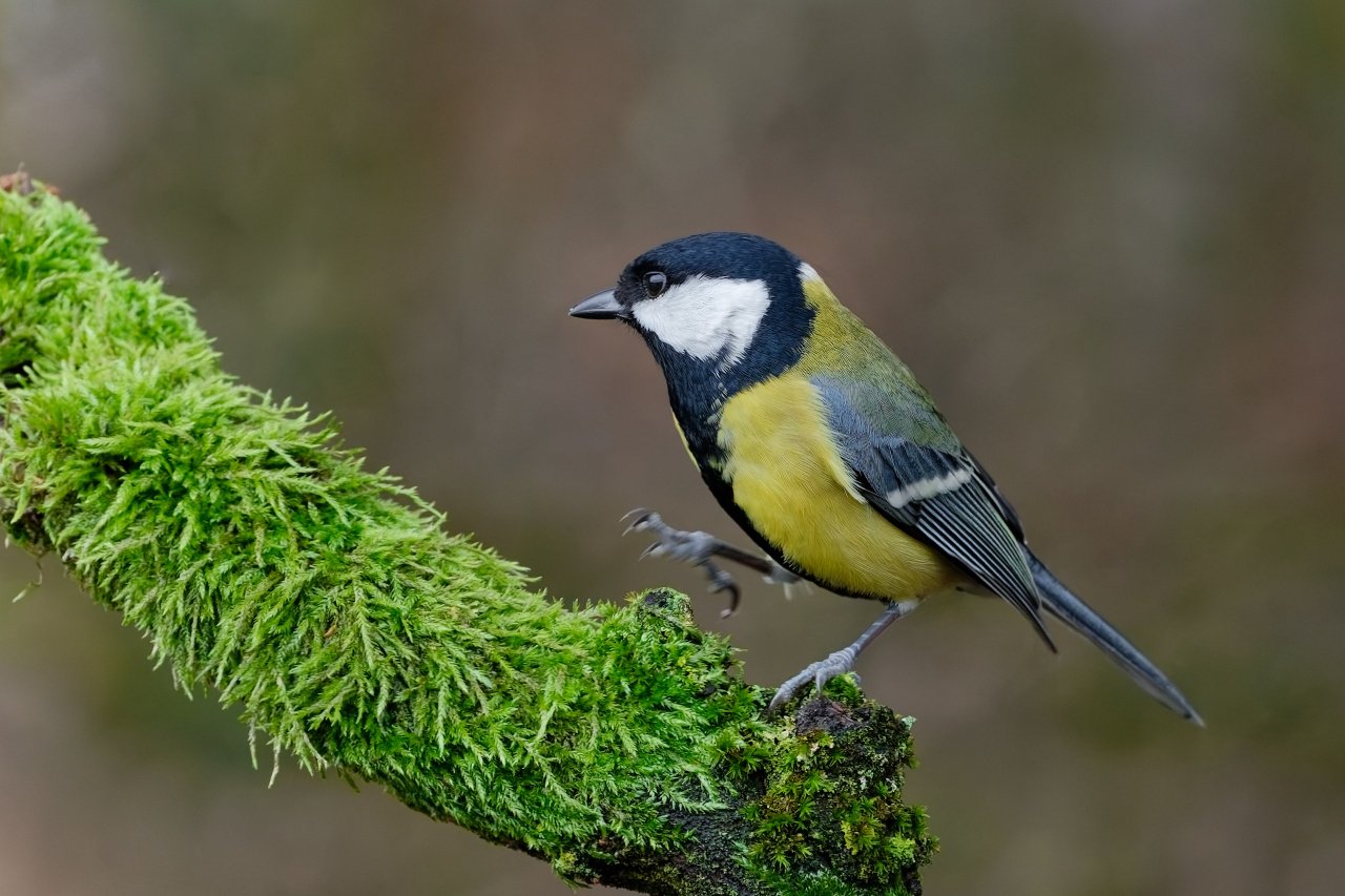 Etwas unsicher.......?