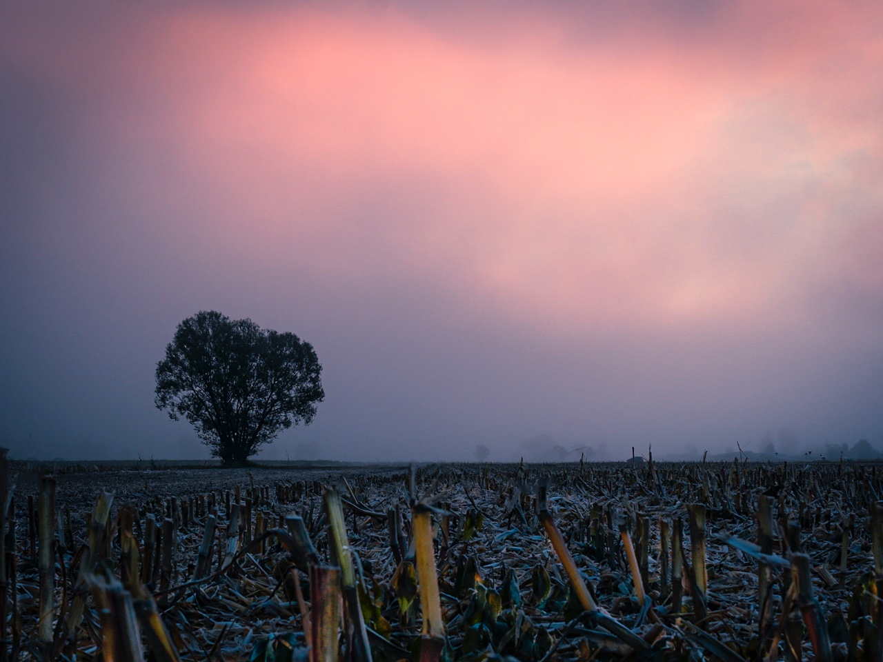Farben am Morgen