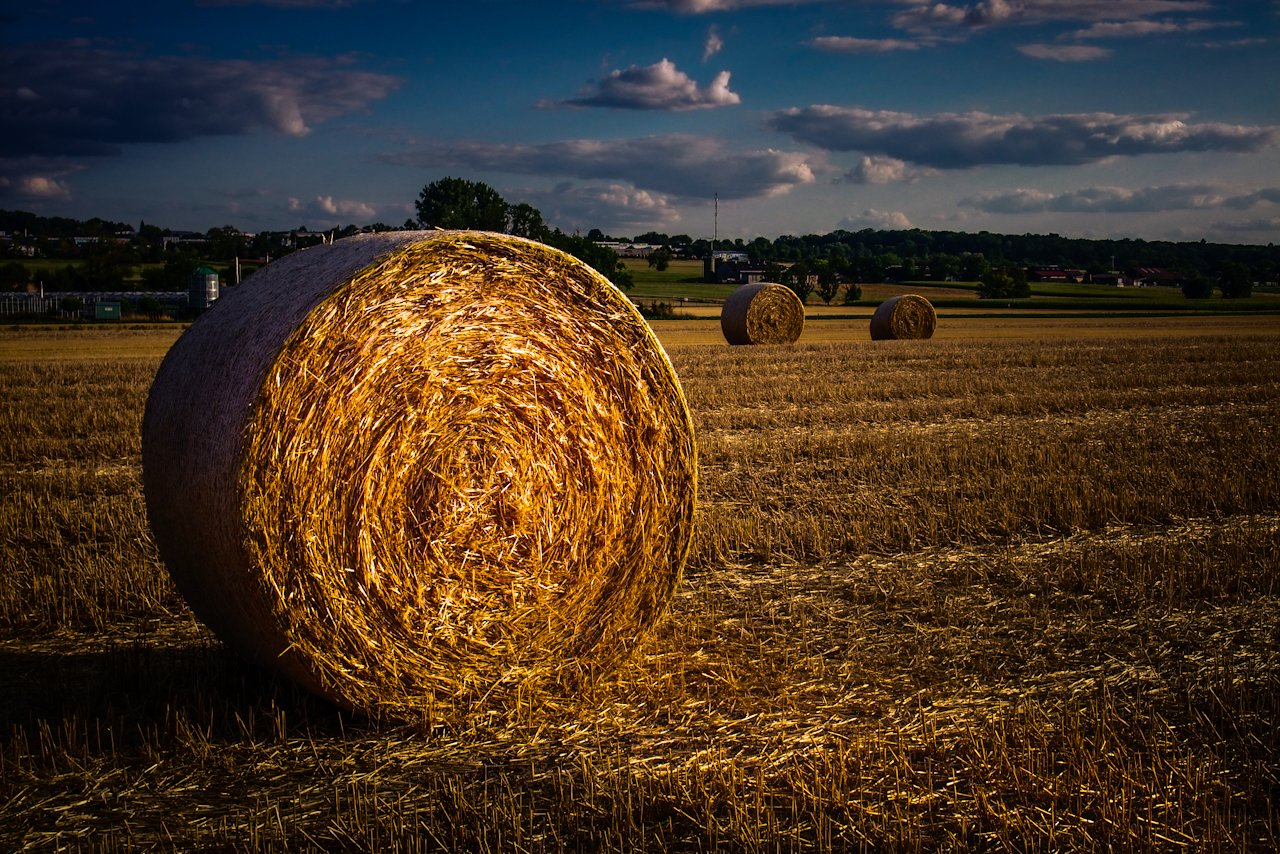Farmer's Gold
